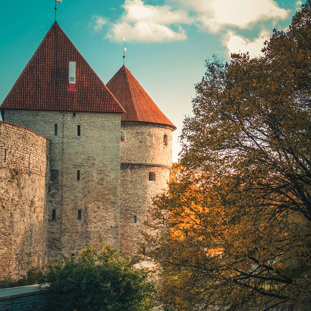 Why Estonia About Us